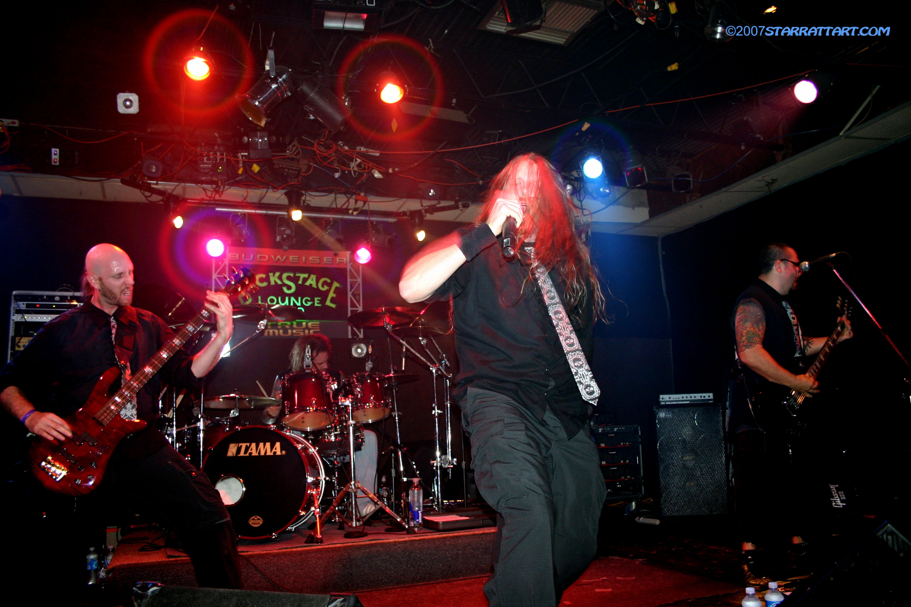 dmdlive.jpg